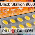 Black Stallion 9000 new05